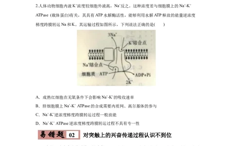 易错点11神经调节-2021年高考生物一轮复习易错题（学生版）_新高考复习资料_2023年新高考复习资料_一轮复习_2023年新高考大一轮复习讲义_赠2021年高考生物一轮复习易错题