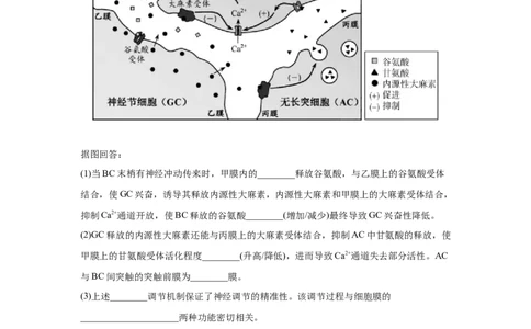 易错点11神经调节-2021年高考生物一轮复习易错题（学生版）_新高考复习资料_2023年新高考复习资料_一轮复习_2023年新高考大一轮复习讲义_赠2021年高考生物一轮复习易错题