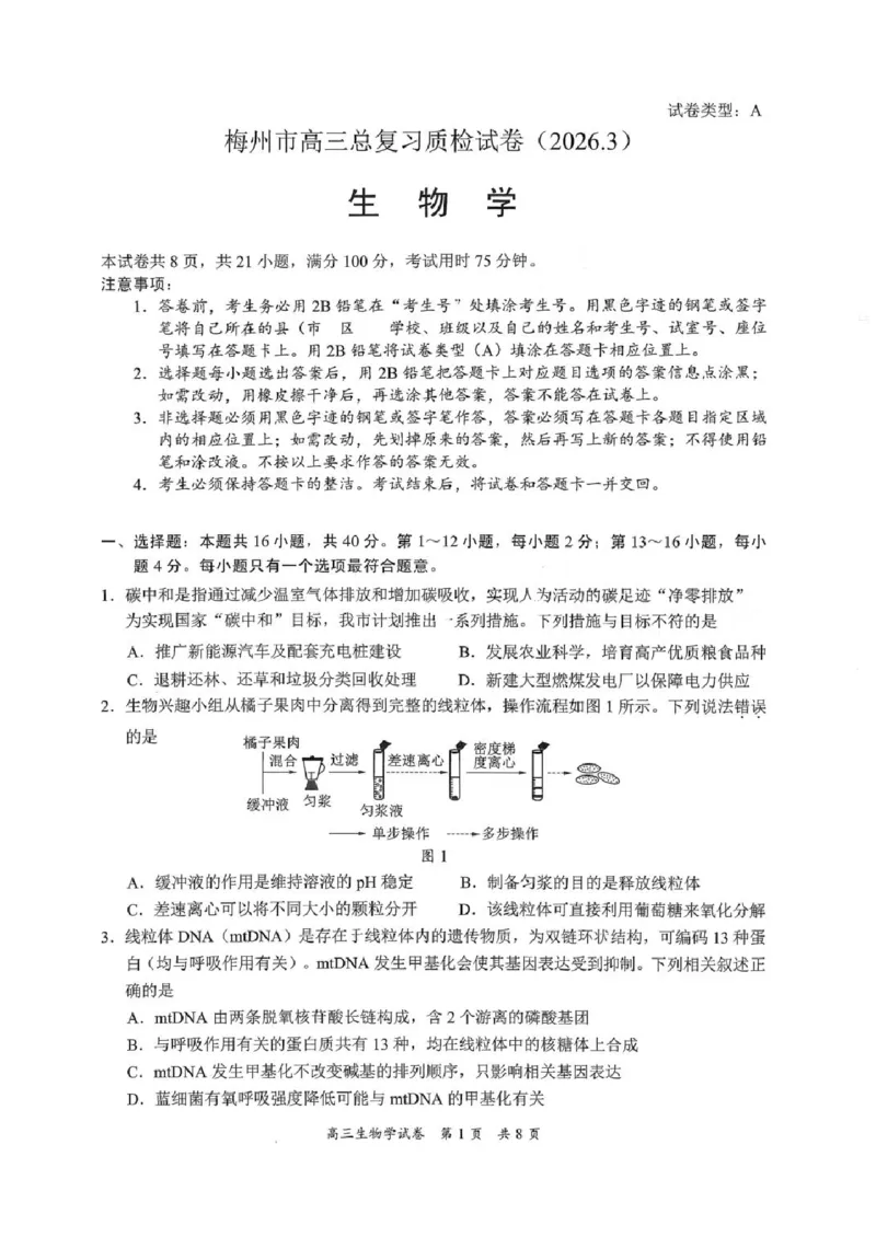 广东省梅州市2026届高三下学期一模生物试题（含答案）_2024-2026高三（6-6月题库）_2026年03月高三试卷_2603062026届广东梅州市高三下学期一模（全科）