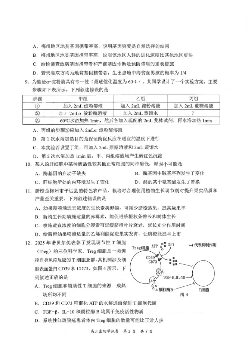 广东省梅州市2026届高三下学期一模生物试题（含答案）_2024-2026高三（6-6月题库）_2026年03月高三试卷_2603062026届广东梅州市高三下学期一模（全科）
