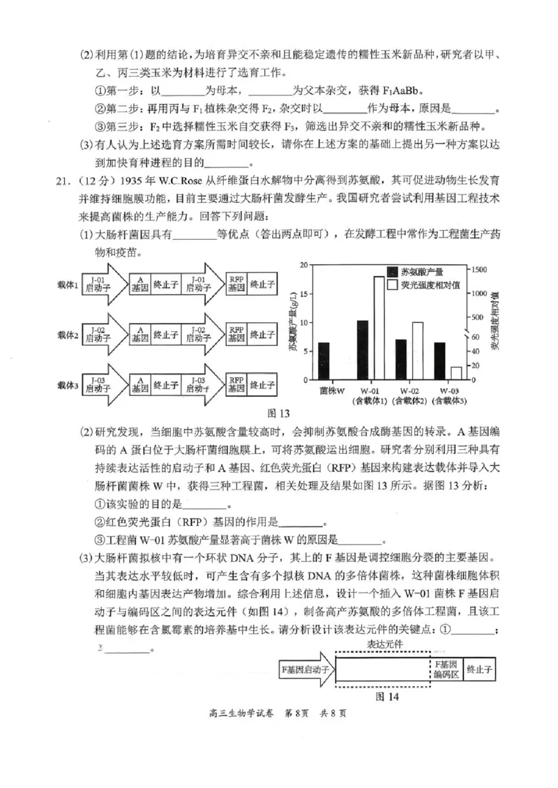 广东省梅州市2026届高三下学期一模生物试题（含答案）_2024-2026高三（6-6月题库）_2026年03月高三试卷_2603062026届广东梅州市高三下学期一模（全科）