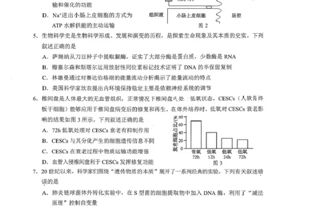 广东省梅州市2026届高三下学期一模生物试题（含答案）_2024-2026高三（6-6月题库）_2026年03月高三试卷_2603062026届广东梅州市高三下学期一模（全科）