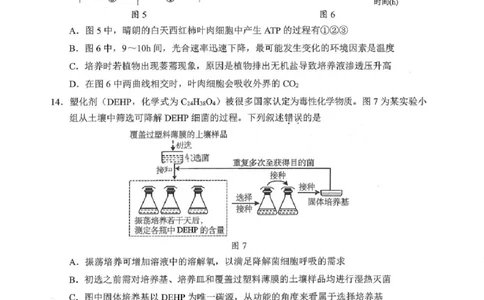 广东省梅州市2026届高三下学期一模生物试题（含答案）_2024-2026高三（6-6月题库）_2026年03月高三试卷_2603062026届广东梅州市高三下学期一模（全科）