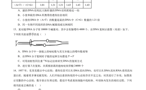 必修2模板检测卷（原卷版）_2025年新高考资料_一轮复习_2025年高考生物一轮复习考点通关卷（新高考通用）_必修2模板检测卷-2025年高考生物一轮复习考点通关卷（新高考通用）