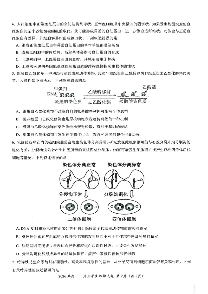 生物试卷-湖北省2026届高三十一校第二次联考试题答案（3月）_2024-2026高三（6-6月题库）_2026年03月高三试卷_260327湖北省十一校2026届高三第二次联考（全科）