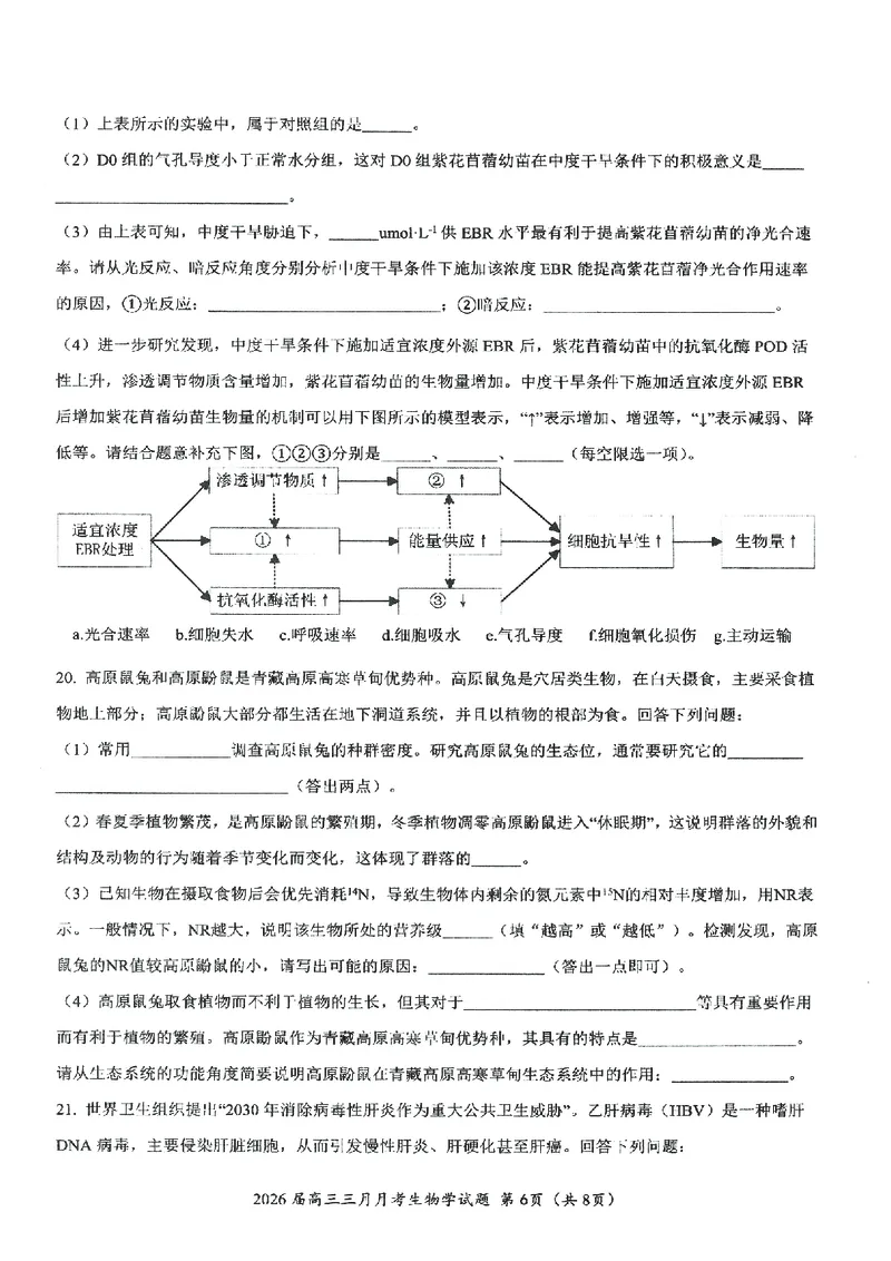 生物试卷-湖北省2026届高三十一校第二次联考试题答案（3月）_2024-2026高三（6-6月题库）_2026年03月高三试卷_260327湖北省十一校2026届高三第二次联考（全科）