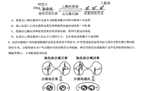 生物试卷-湖北省2026届高三十一校第二次联考试题答案（3月）_2024-2026高三（6-6月题库）_2026年03月高三试卷_260327湖北省十一校2026届高三第二次联考（全科）