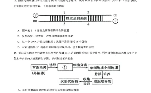 生物试卷-湖北省2026届高三十一校第二次联考试题答案（3月）_2024-2026高三（6-6月题库）_2026年03月高三试卷_260327湖北省十一校2026届高三第二次联考（全科）