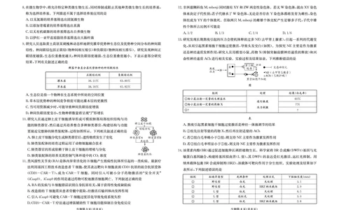生物试卷-四川省大数据联盟2026届高三3月开学联考_2024-2026高三（6-6月题库）_2026年03月高三试卷_260311四川省大数据联盟2026届高三3月开学联考（全科）