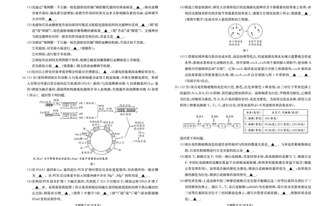 生物试卷-四川省大数据联盟2026届高三3月开学联考_2024-2026高三（6-6月题库）_2026年03月高三试卷_260311四川省大数据联盟2026届高三3月开学联考（全科）