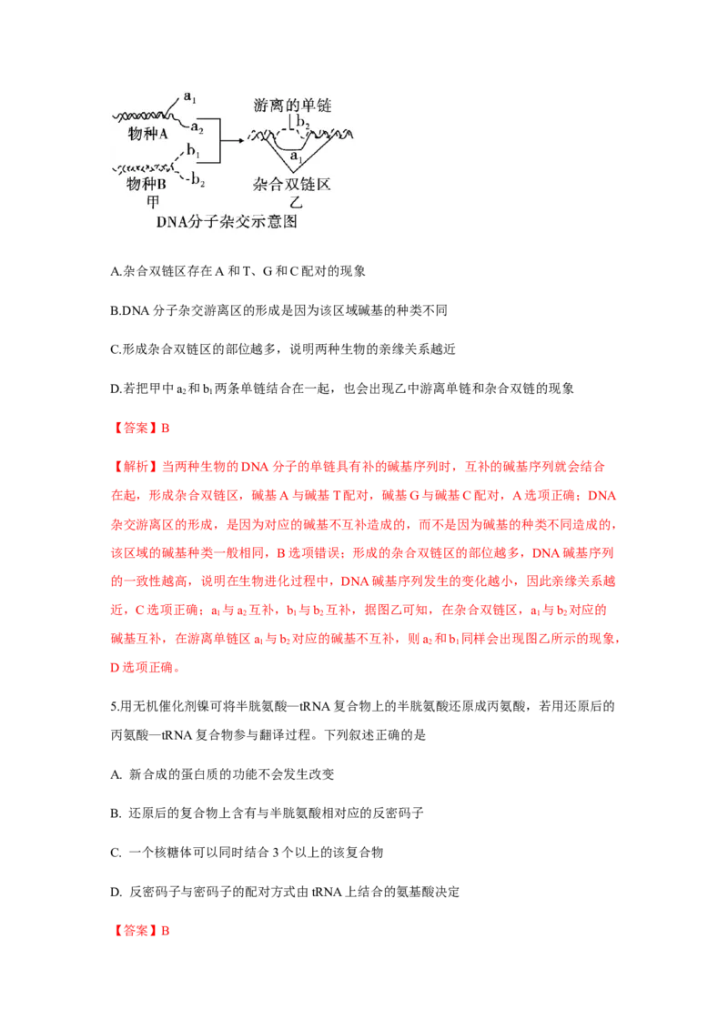 易错点06遗传的分子基础-2021年高考生物一轮复习易错题（教师版含解析）_新高考复习资料_2023年新高考复习资料_一轮复习_2023年新高考大一轮复习讲义