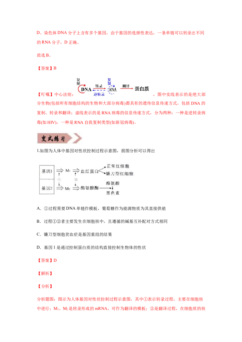 易错点06遗传的分子基础-2021年高考生物一轮复习易错题（教师版含解析）_新高考复习资料_2023年新高考复习资料_一轮复习_2023年新高考大一轮复习讲义