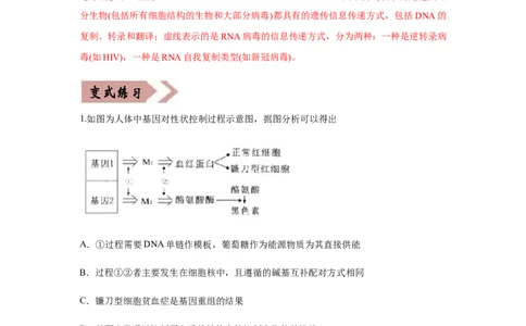 易错点06遗传的分子基础-2021年高考生物一轮复习易错题（教师版含解析）_新高考复习资料_2023年新高考复习资料_一轮复习_2023年新高考大一轮复习讲义