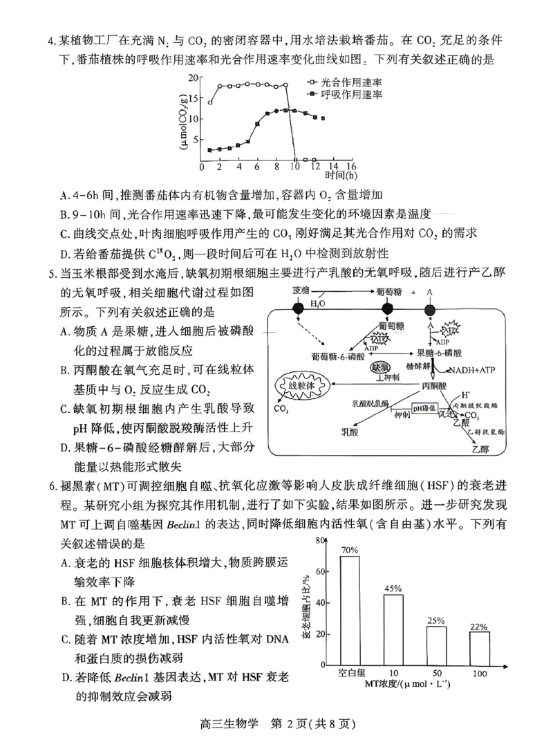 孝感市2026届高三年级第二次统一考试生物_2024-2026高三（6-6月题库）_2026年04月高三试卷_260427湖北省孝感市2026届高三年级第二次统一考试（孝感二模）（全科）