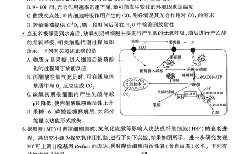 孝感市2026届高三年级第二次统一考试生物_2024-2026高三（6-6月题库）_2026年04月高三试卷_260427湖北省孝感市2026届高三年级第二次统一考试（孝感二模）（全科）
