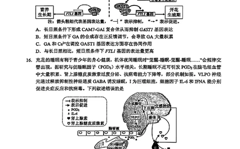 东莞市2026年高三年级模拟考试生物_2024-2026高三（6-6月题库）_2026年03月高三试卷_260330广东省东莞市2026年高三年级模拟考试（东莞一模）（全科）