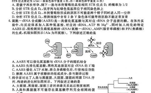 生物卷重点高中九校联考2603_2024-2026高三（6-6月题库）_2026年03月高三试卷_2603122026届江苏省重点高中高三年级九校联考
