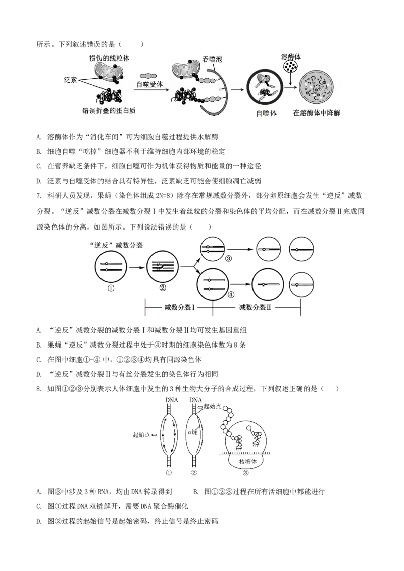 安徽省铜陵市2026届高三下学期第一次质检生物试卷_2024-2026高三（6-6月题库）_2026年03月高三试卷_260324安徽铜陵市2026届高三下学期第一次质检（铜陵一模）（全科）