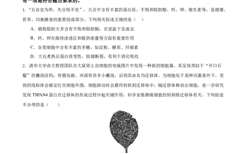 安徽省铜陵市2026届高三下学期第一次质检生物试卷_2024-2026高三（6-6月题库）_2026年03月高三试卷_260324安徽铜陵市2026届高三下学期第一次质检（铜陵一模）（全科）