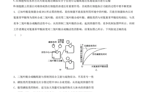 安徽省铜陵市2026届高三下学期第一次质检生物试卷_2024-2026高三（6-6月题库）_2026年03月高三试卷_260324安徽铜陵市2026届高三下学期第一次质检（铜陵一模）（全科）