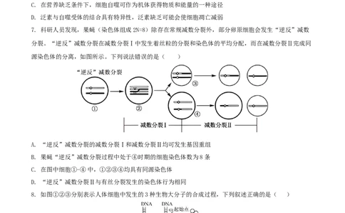 安徽省铜陵市2026届高三下学期第一次质检生物试卷_2024-2026高三（6-6月题库）_2026年03月高三试卷_260324安徽铜陵市2026届高三下学期第一次质检（铜陵一模）（全科）