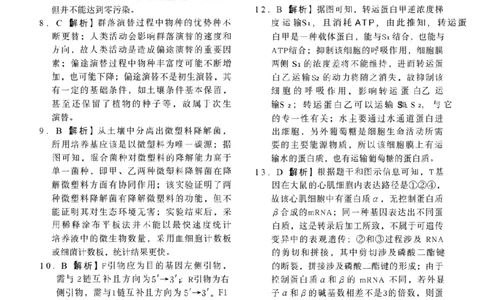 辽宁省抚顺市清原满族自治县高级中学2025-2026学年高三下学期模拟调研卷生物试题答案与解析（二）_2024-2026高三（6-6月题库）_2026年04月高三试卷
