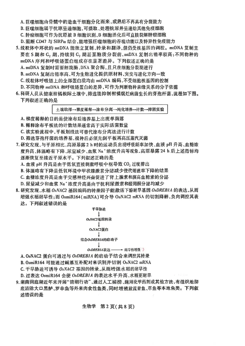 生物试卷-湖南省、广西壮族自治区天一大联考2026年高三年级4月联考（含答案）_2024-2026高三（6-6月题库）_2026年04月高三试卷