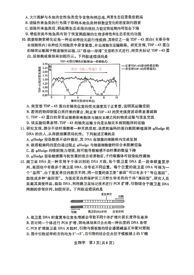 生物试卷-湖南省、广西壮族自治区天一大联考2026年高三年级4月联考（含答案）_2024-2026高三（6-6月题库）_2026年04月高三试卷