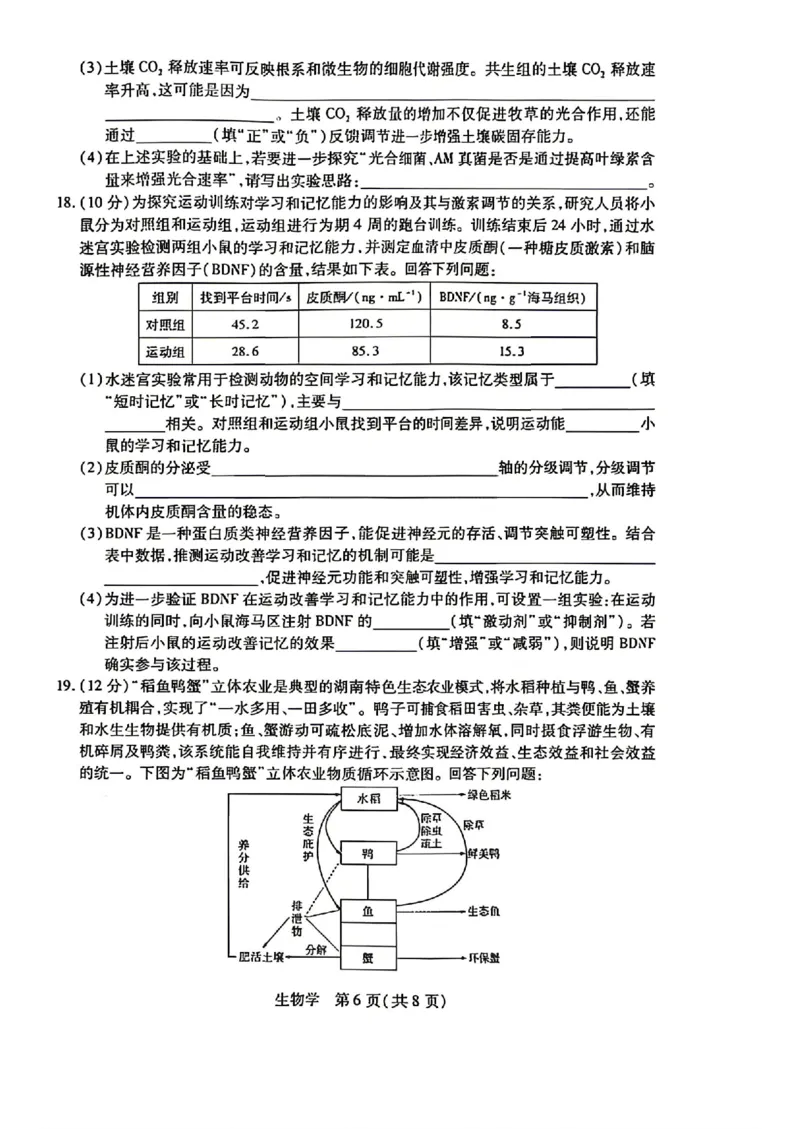 生物试卷-湖南省、广西壮族自治区天一大联考2026年高三年级4月联考（含答案）_2024-2026高三（6-6月题库）_2026年04月高三试卷
