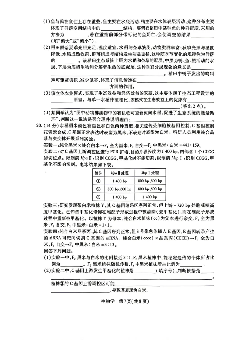 生物试卷-湖南省、广西壮族自治区天一大联考2026年高三年级4月联考（含答案）_2024-2026高三（6-6月题库）_2026年04月高三试卷
