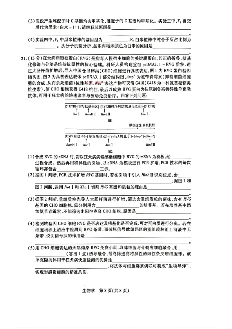 生物试卷-湖南省、广西壮族自治区天一大联考2026年高三年级4月联考（含答案）_2024-2026高三（6-6月题库）_2026年04月高三试卷