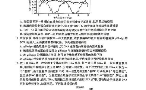 生物试卷-湖南省、广西壮族自治区天一大联考2026年高三年级4月联考（含答案）_2024-2026高三（6-6月题库）_2026年04月高三试卷