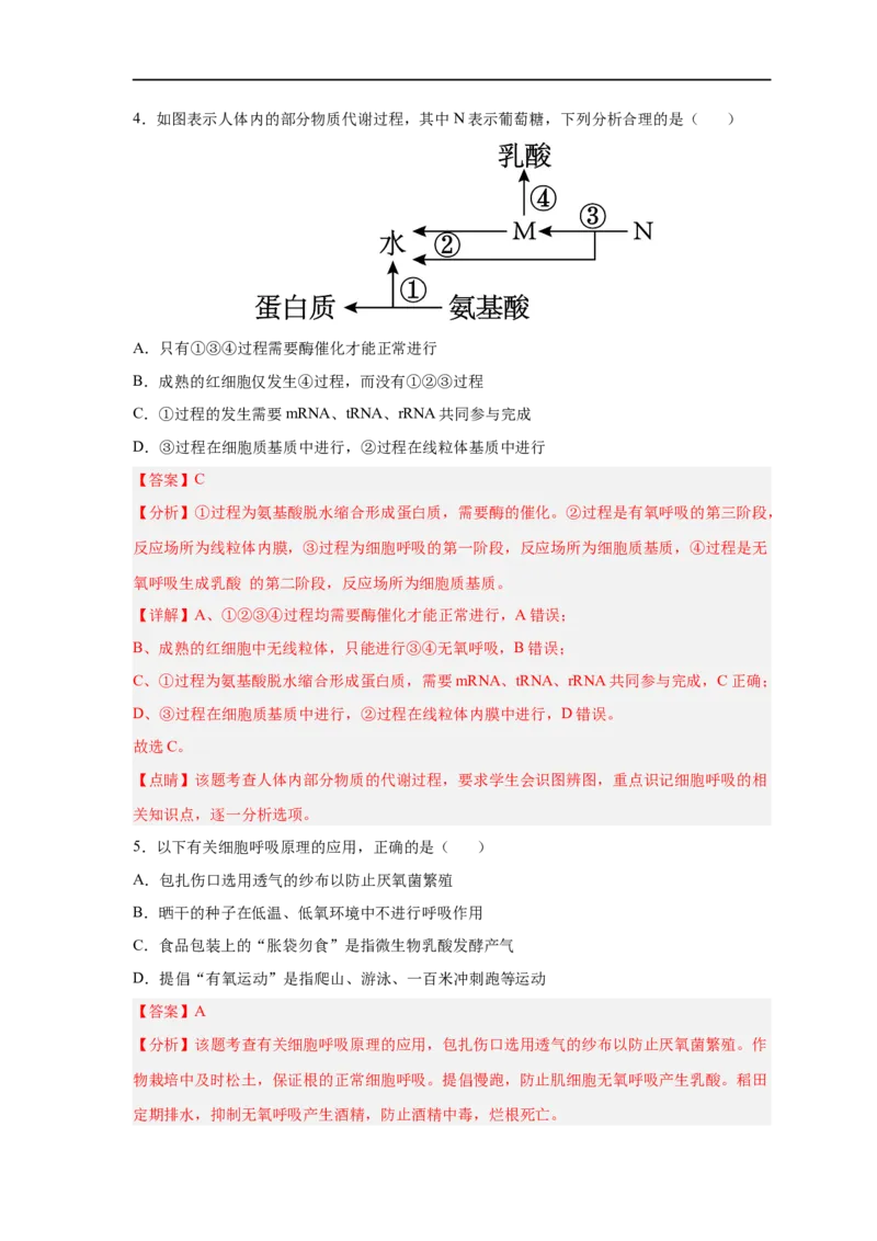 易错点07细胞呼吸的场所、过程及方式-备战2023年高考生物考试易错题（新教材新高考）（解析版）_新高考复习资料_2023年新高考复习资料_专项复习