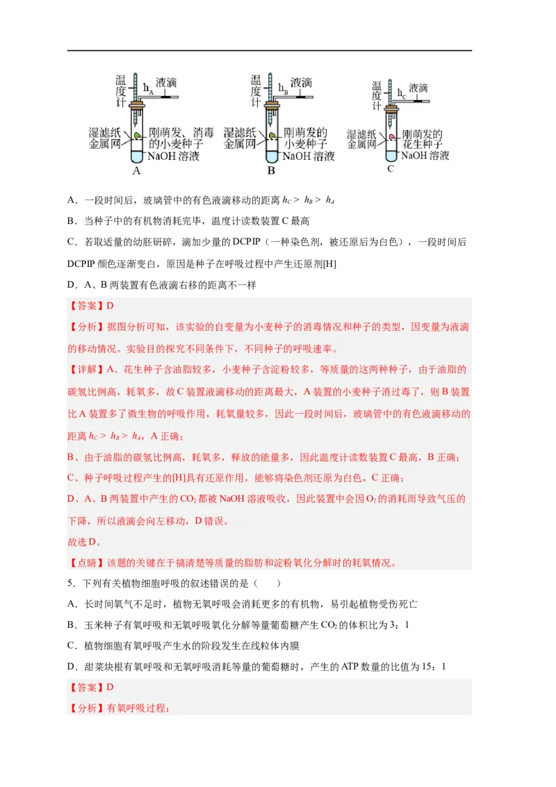易错点07细胞呼吸的场所、过程及方式-备战2023年高考生物考试易错题（新教材新高考）（解析版）_新高考复习资料_2023年新高考复习资料_专项复习