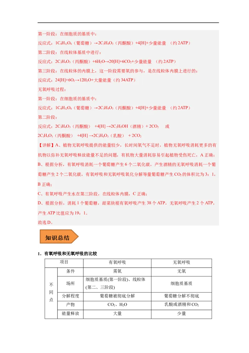 易错点07细胞呼吸的场所、过程及方式-备战2023年高考生物考试易错题（新教材新高考）（解析版）_新高考复习资料_2023年新高考复习资料_专项复习