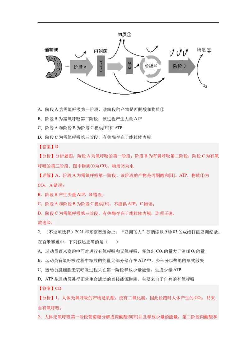 易错点07细胞呼吸的场所、过程及方式-备战2023年高考生物考试易错题（新教材新高考）（解析版）_新高考复习资料_2023年新高考复习资料_专项复习