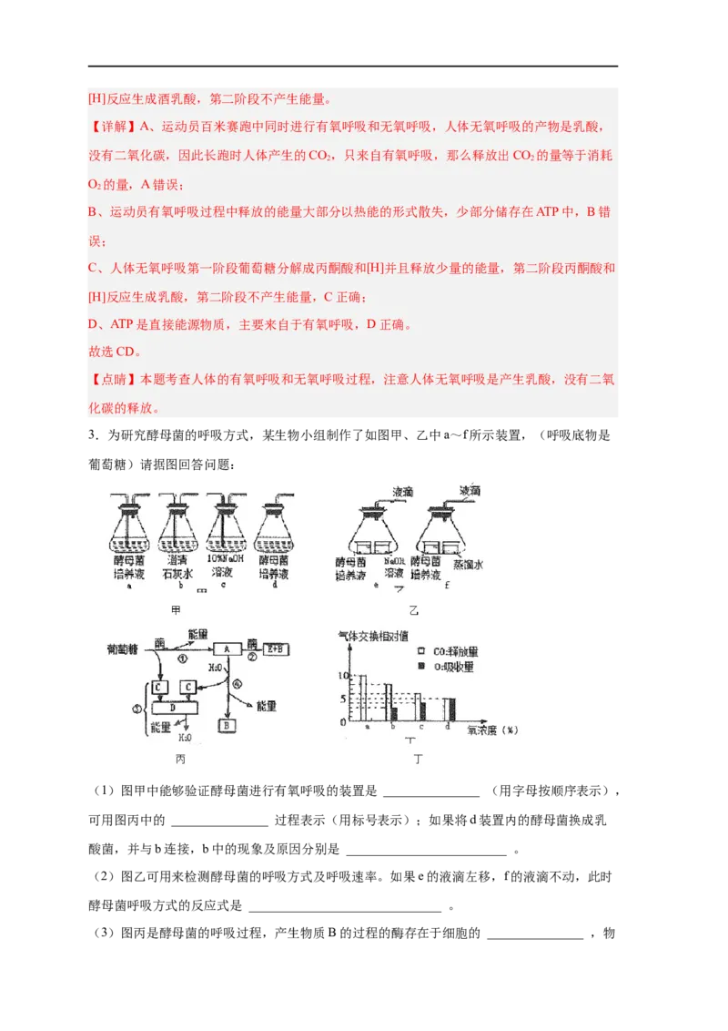 易错点07细胞呼吸的场所、过程及方式-备战2023年高考生物考试易错题（新教材新高考）（解析版）_新高考复习资料_2023年新高考复习资料_专项复习