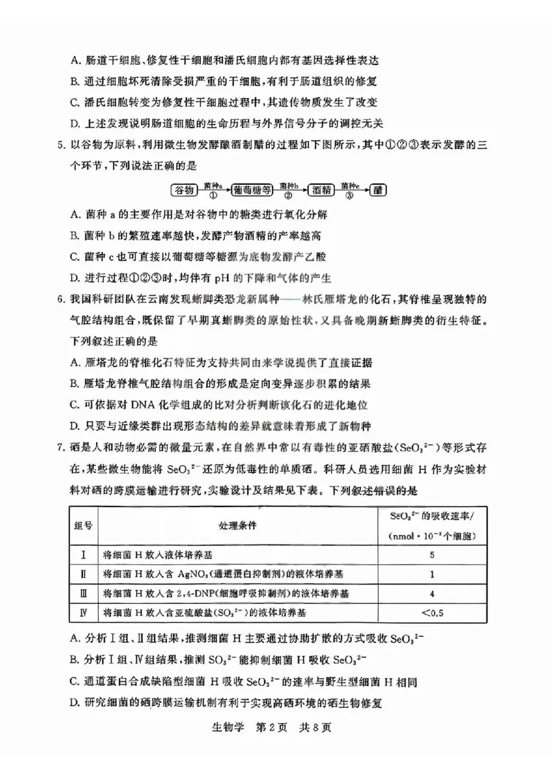 T8联考2026届高三4月阶段练习（湖北版）生物+答案_2024-2026高三（6-6月题库）_2026年04月高三试卷_2604112026届八省八校T8联考高三下学期4月联合测评（全科）
