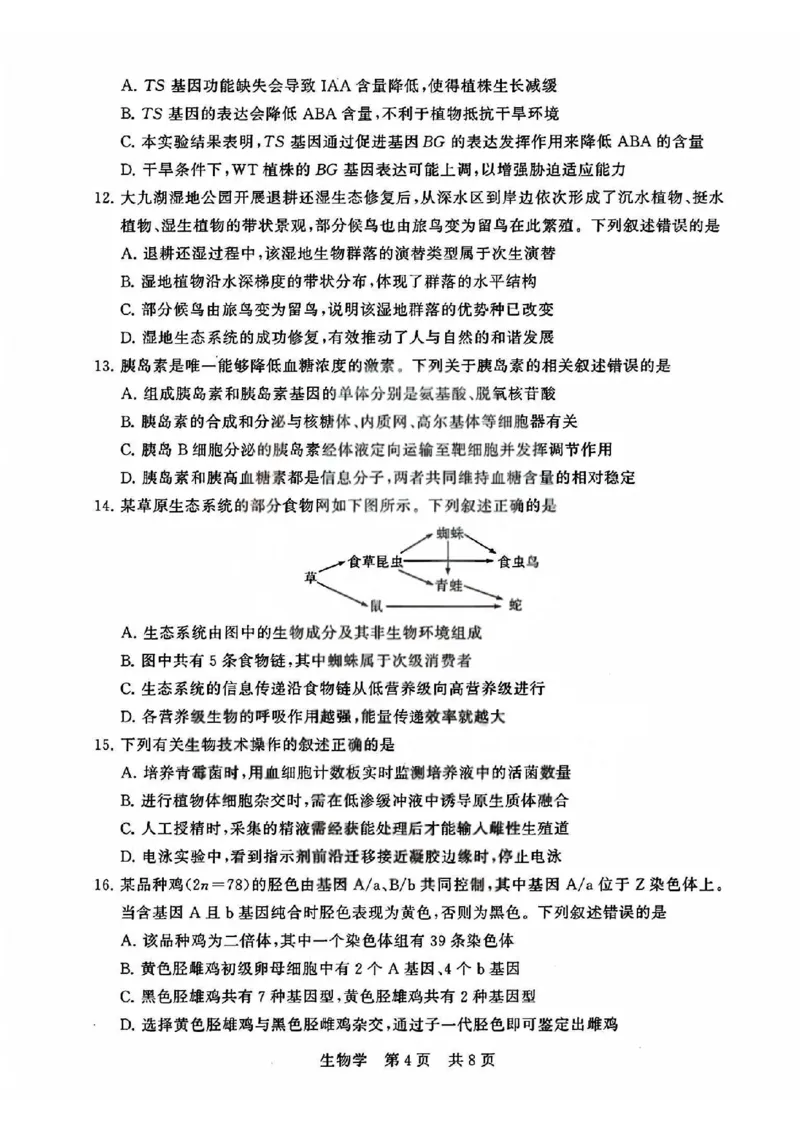 T8联考2026届高三4月阶段练习（湖北版）生物+答案_2024-2026高三（6-6月题库）_2026年04月高三试卷_2604112026届八省八校T8联考高三下学期4月联合测评（全科）