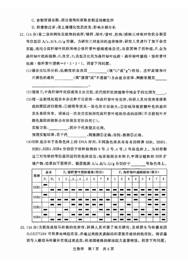 T8联考2026届高三4月阶段练习（湖北版）生物+答案_2024-2026高三（6-6月题库）_2026年04月高三试卷_2604112026届八省八校T8联考高三下学期4月联合测评（全科）