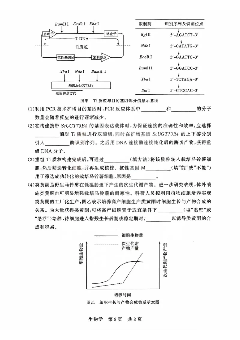 T8联考2026届高三4月阶段练习（湖北版）生物+答案_2024-2026高三（6-6月题库）_2026年04月高三试卷_2604112026届八省八校T8联考高三下学期4月联合测评（全科）