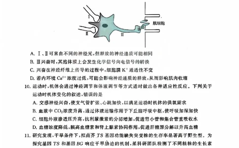 T8联考2026届高三4月阶段练习（湖北版）生物+答案_2024-2026高三（6-6月题库）_2026年04月高三试卷_2604112026届八省八校T8联考高三下学期4月联合测评（全科）