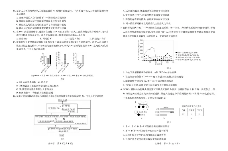 26届4月湛江高三二模&middot;生物学3.28_2024-2026高三（6-6月题库）_2026年04月高三试卷_260411广东省湛江市2026年普通高考测试（二）（全科）_生物学
