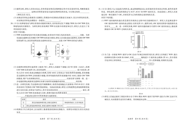 26届4月湛江高三二模&middot;生物学3.28_2024-2026高三（6-6月题库）_2026年04月高三试卷_260411广东省湛江市2026年普通高考测试（二）（全科）_生物学