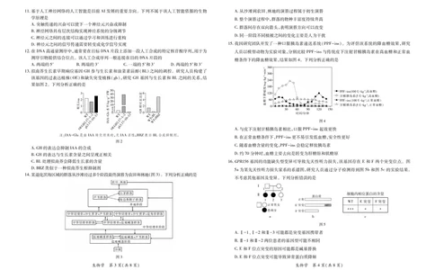 26届4月湛江高三二模&middot;生物学3.28_2024-2026高三（6-6月题库）_2026年04月高三试卷_260411广东省湛江市2026年普通高考测试（二）（全科）_生物学