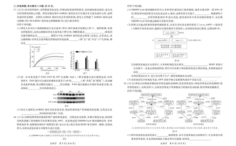 26届4月湛江高三二模&middot;生物学3.28_2024-2026高三（6-6月题库）_2026年04月高三试卷_260411广东省湛江市2026年普通高考测试（二）（全科）_生物学