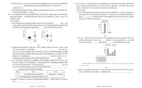 26届4月湛江高三二模&middot;生物学3.28_2024-2026高三（6-6月题库）_2026年04月高三试卷_260411广东省湛江市2026年普通高考测试（二）（全科）_生物学