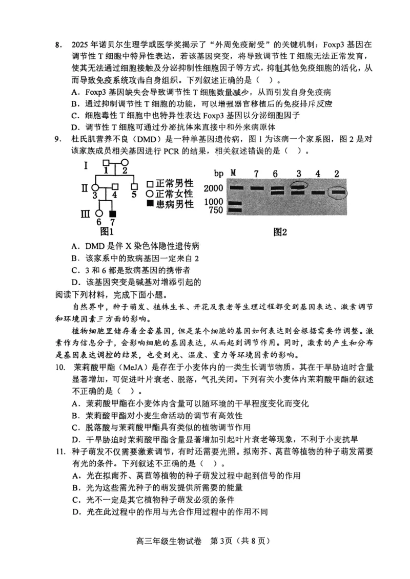 和平区2025-2026学年度高三年级第一次质量检测生物_2024-2026高三（6-6月题库）_2026年04月高三试卷_260407天津和平区2025-2026学年度高三年级一模（全科）
