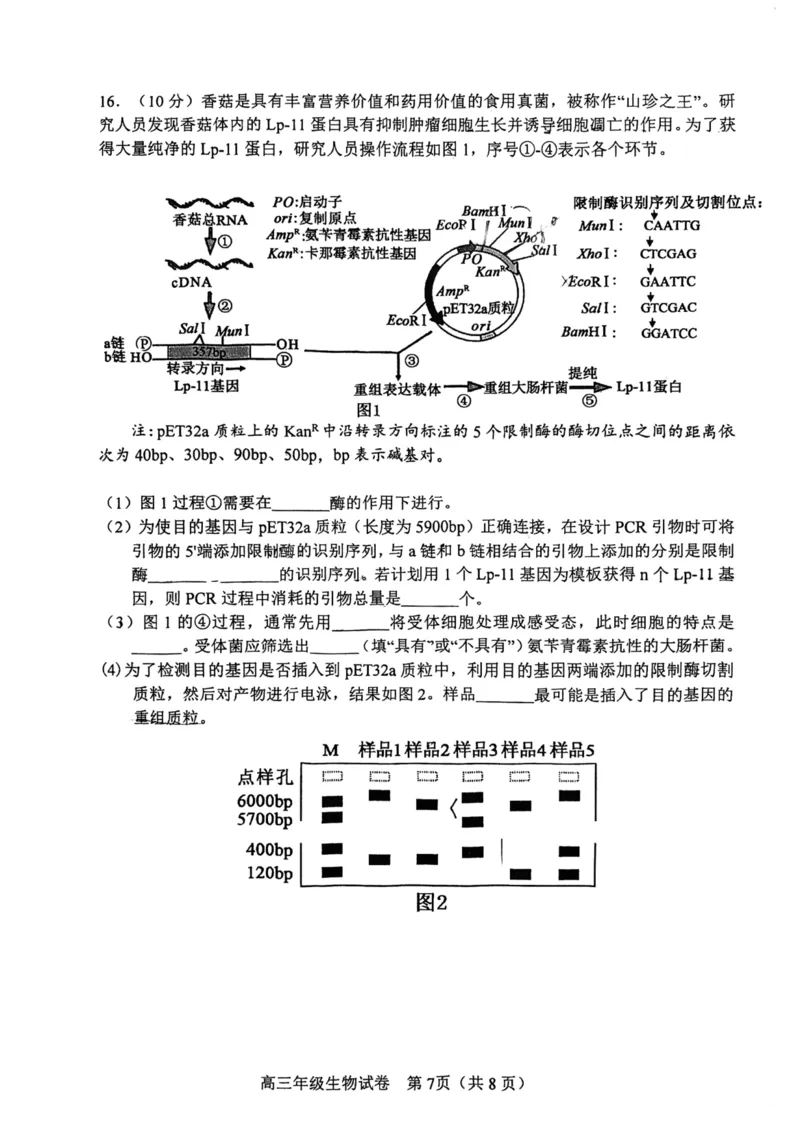 和平区2025-2026学年度高三年级第一次质量检测生物_2024-2026高三（6-6月题库）_2026年04月高三试卷_260407天津和平区2025-2026学年度高三年级一模（全科）