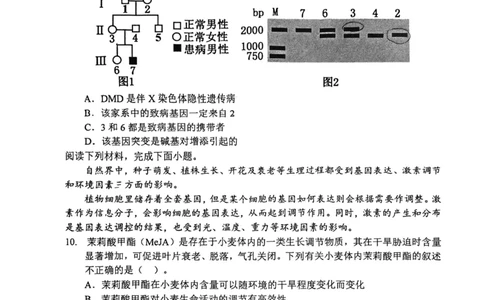 和平区2025-2026学年度高三年级第一次质量检测生物_2024-2026高三（6-6月题库）_2026年04月高三试卷_260407天津和平区2025-2026学年度高三年级一模（全科）